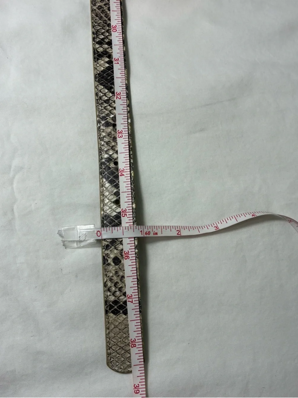 Talbots women’s belt Sz S Leather snake print